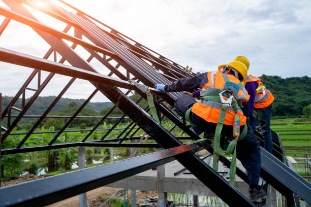 Roof Gutter Cleaning in Clinton, AR