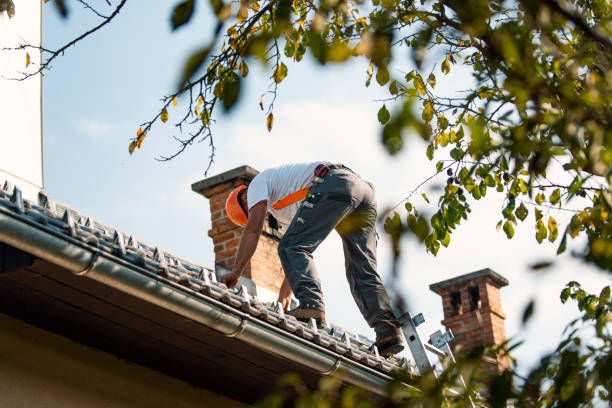Best Shingle Roofing Installation  in Clinton, AR